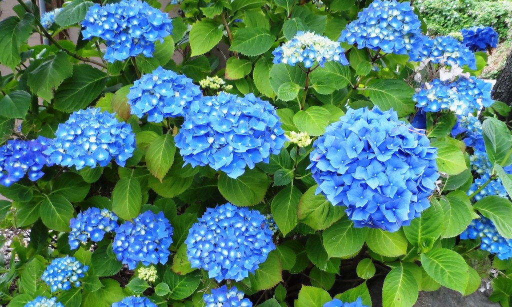 Retirement in The Villages AFTER Fulltime RVing With Rick and Orinda