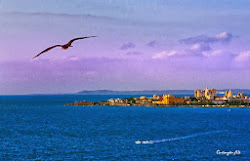 Cartagena Bay & Skyline