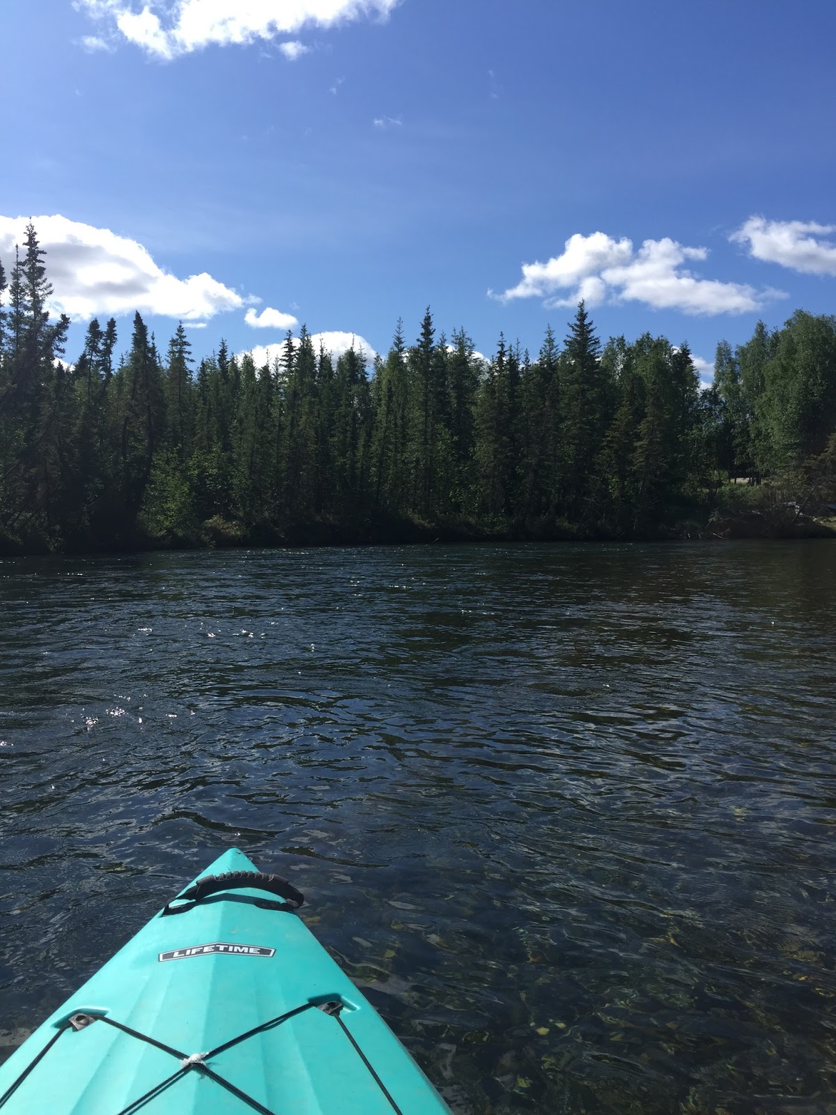Kayaking the Clearwater River Delta Junction, Alaska Two Soulmates