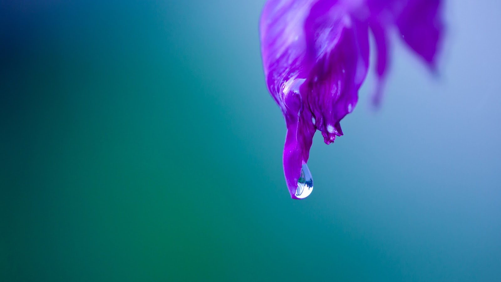 free 3d wallpapers download water drops hd pictures