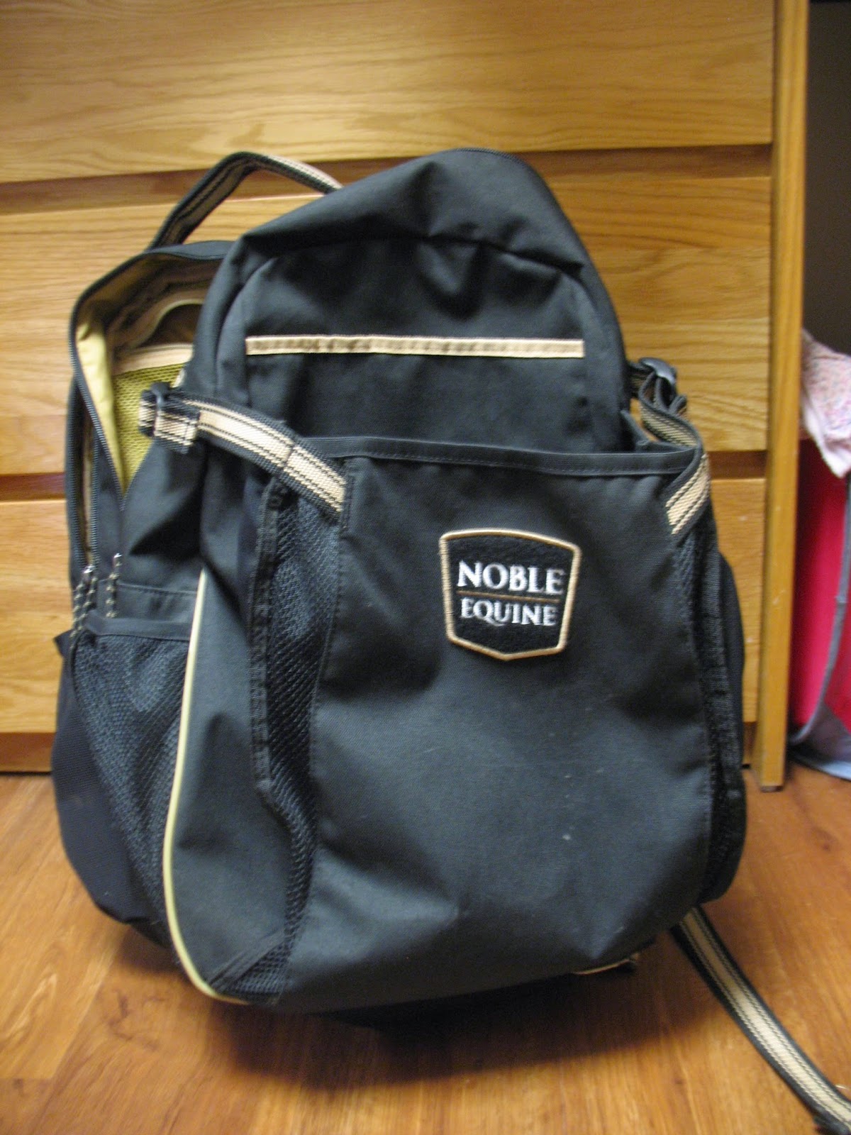 Ride It Horse Show Supplies What's in My Show Bag Part I