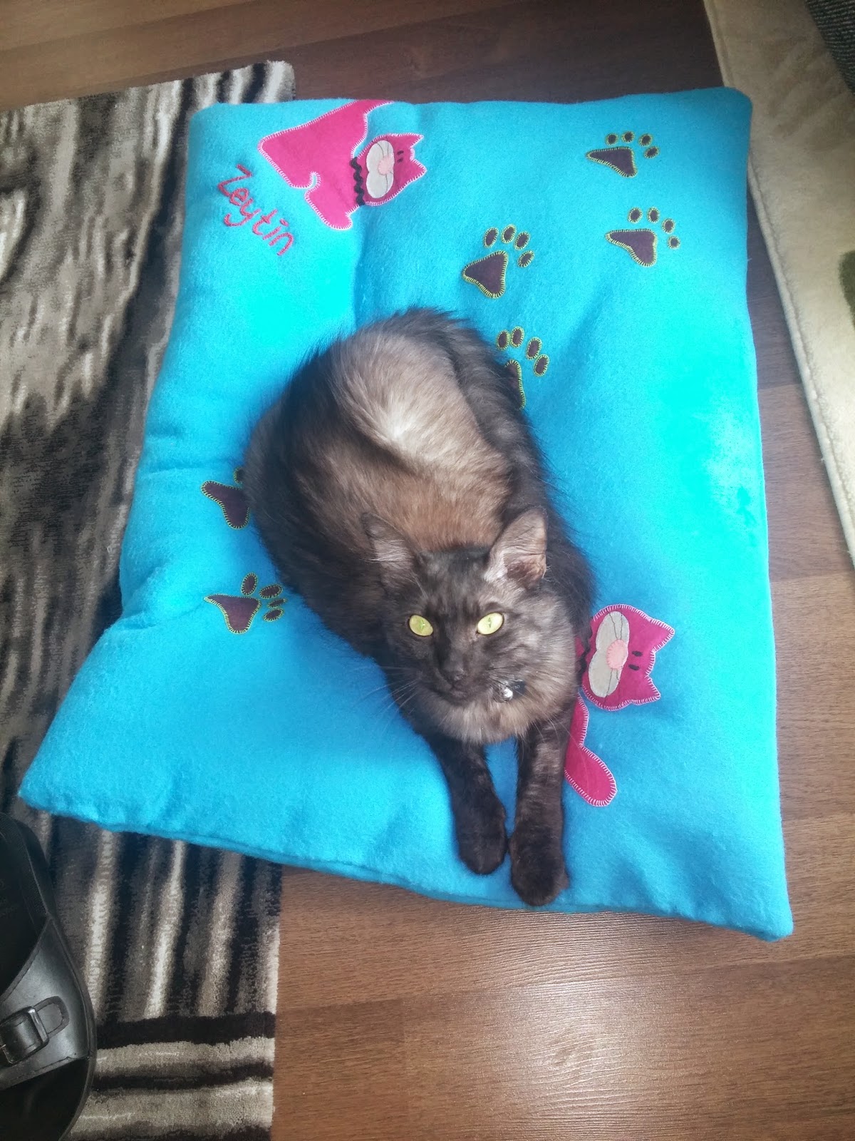 Perili Hobiler Aplike Kedi Battaniyesi