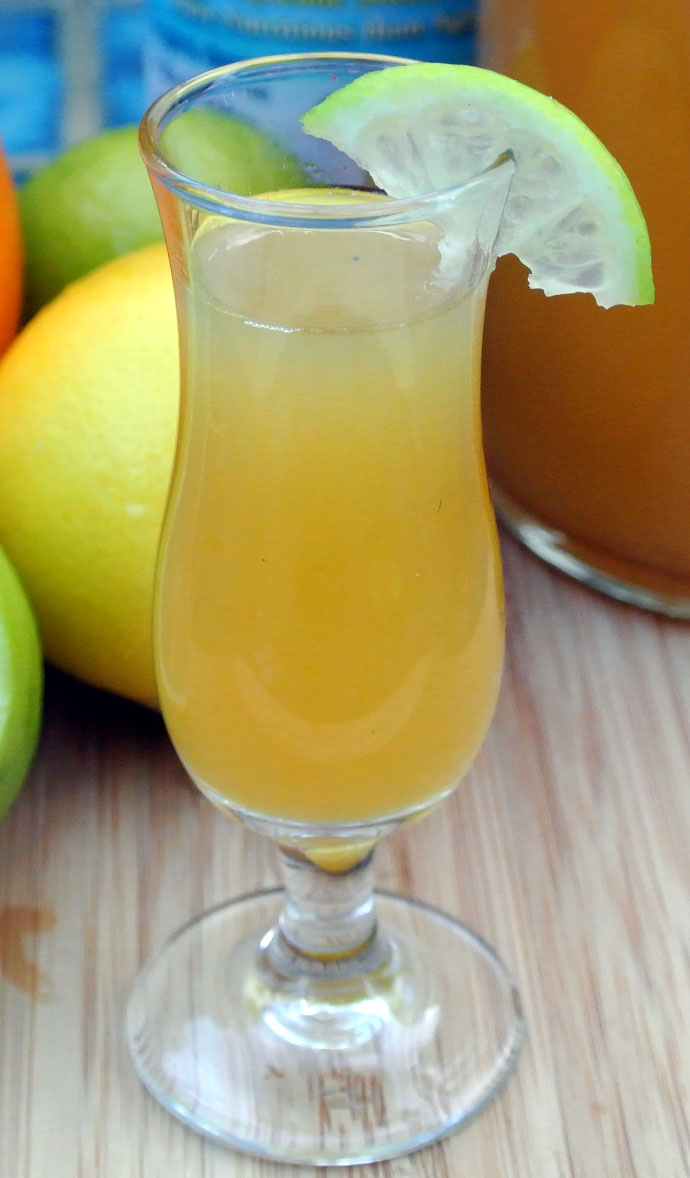 Gourmet Cooking For Two Citrus Cocktail