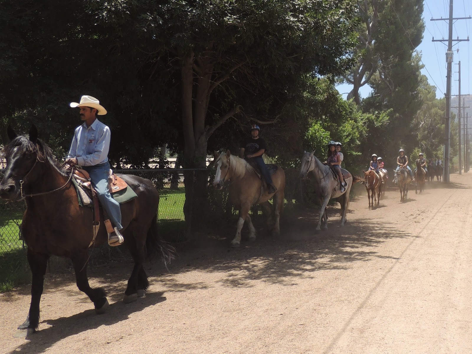 1000 Hikes in 1000 Days Day 949 Los Angeles Equestrian Center