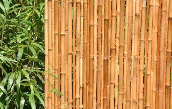 bamboo grove photo bamboo garden screens bamboo grove photo bamboo garden screens