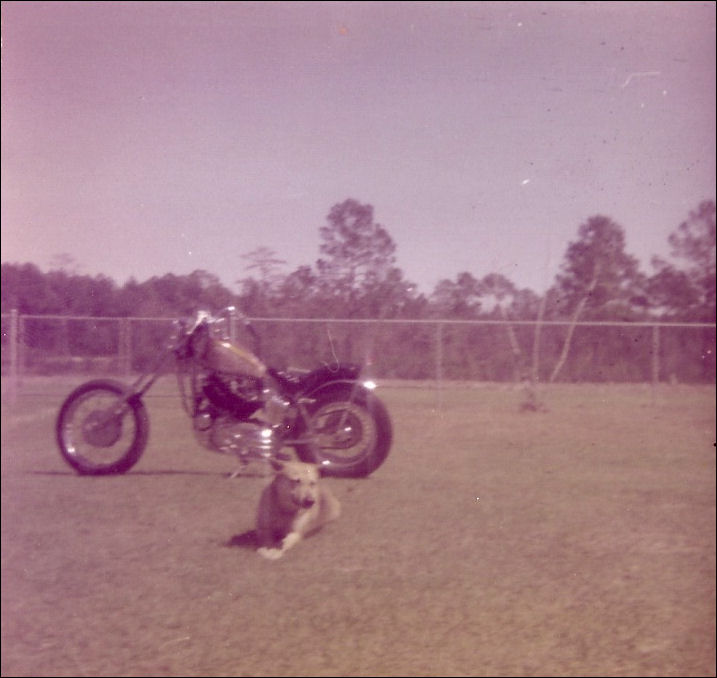http://2.bp.blogspot.com/-olujWe2BqHI/Tw8upk9IRrI/AAAAAAAADzs/JrveQZqqon8/s1600/1969+sportster+7.jpg
