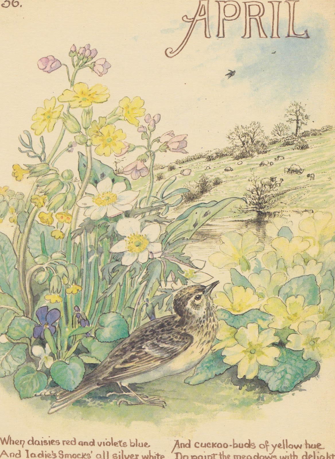 Garden Of Daisies Happy April! Country Diary of An Edwardian Lady