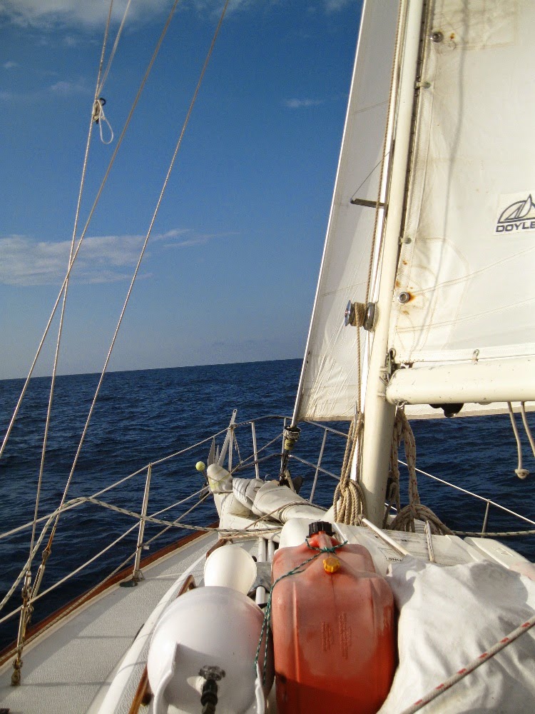 THE SEA GYPSY PHILOSOPHER SEA GYPSY FREEDOM