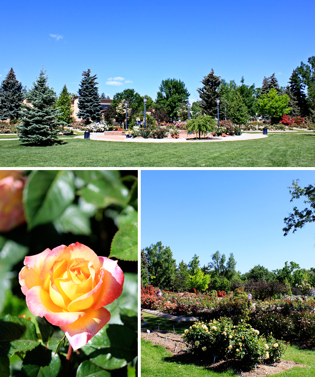 Longmont Memorial Rose Garden Longmont 100 Things To Do In