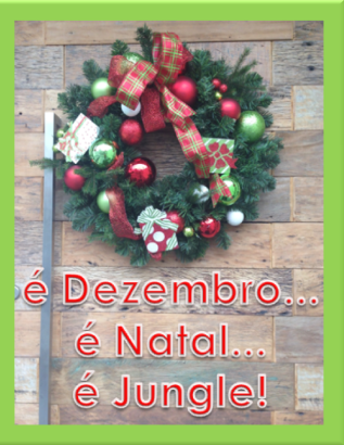 Chegou o Natal!!!