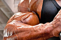 build muscle mass
