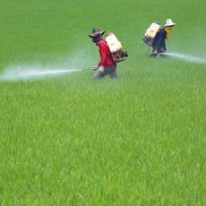 Productos para el agro Productos para el agro