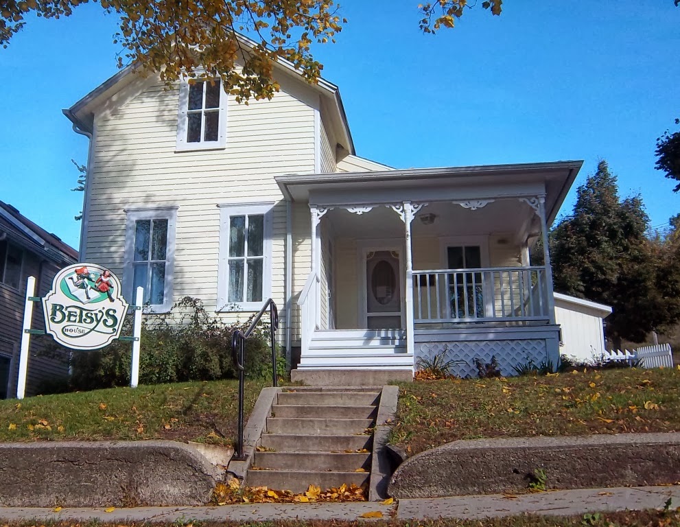 Cat From Dinant Belgium Traveling Cats Bloglovin