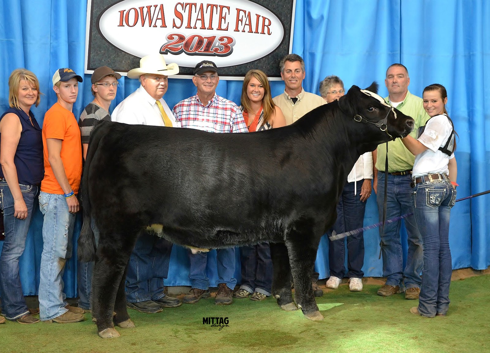 MITTAG Blog Iowa State Fair 4H Top 5 Steers