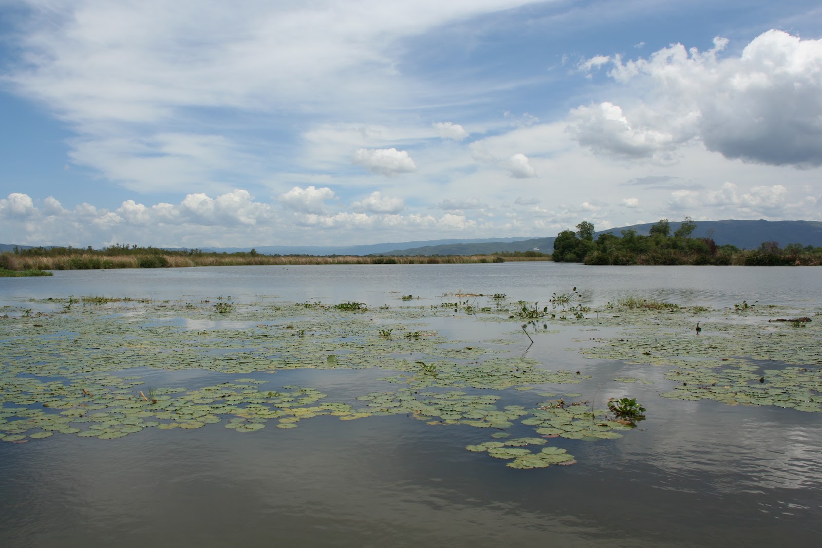 To See the Seven Continents Jamaica