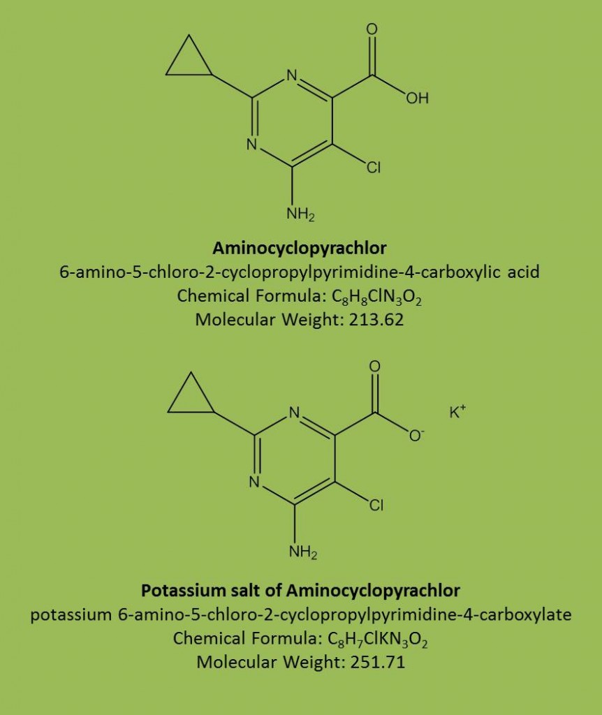 treeicide new pesticide blamed in thousands of tree deaths aminocyclopyrachlor