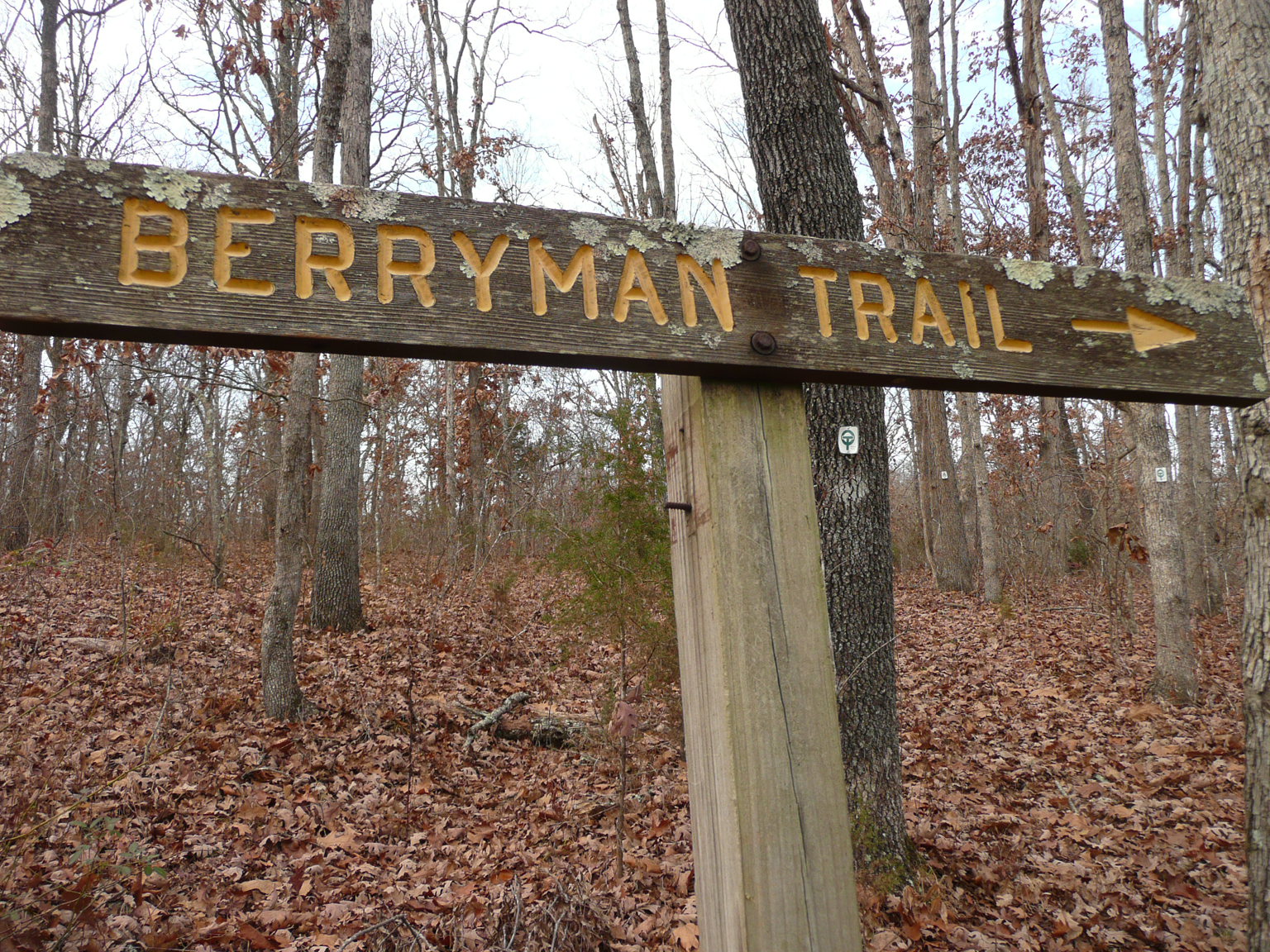 Ryan Berryman on X: 11 mile round trip hike to the crash site of