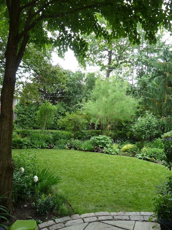 Barbara's Garden Chronicles More from the Rosedale Garden Tour