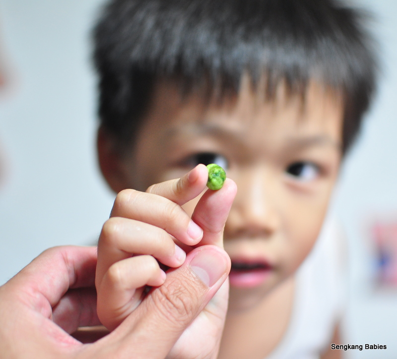 SengkangBabies Wasabi kids