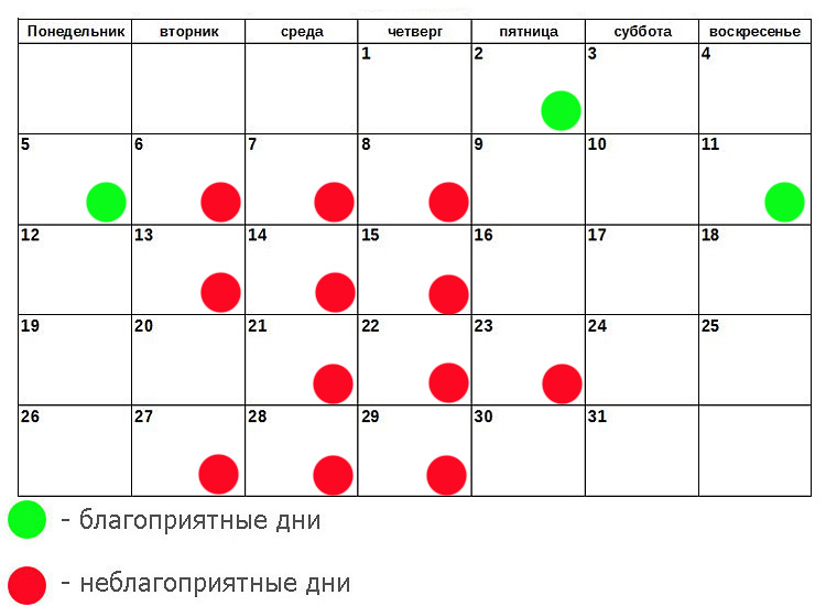 Когда начнется молодежка на стс в 2018 году Когда начнется молодежка на стс в 2018 году