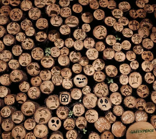 No Deforestation No Deforestation