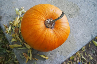 soul+flower+pumpkin - Stepping Stones