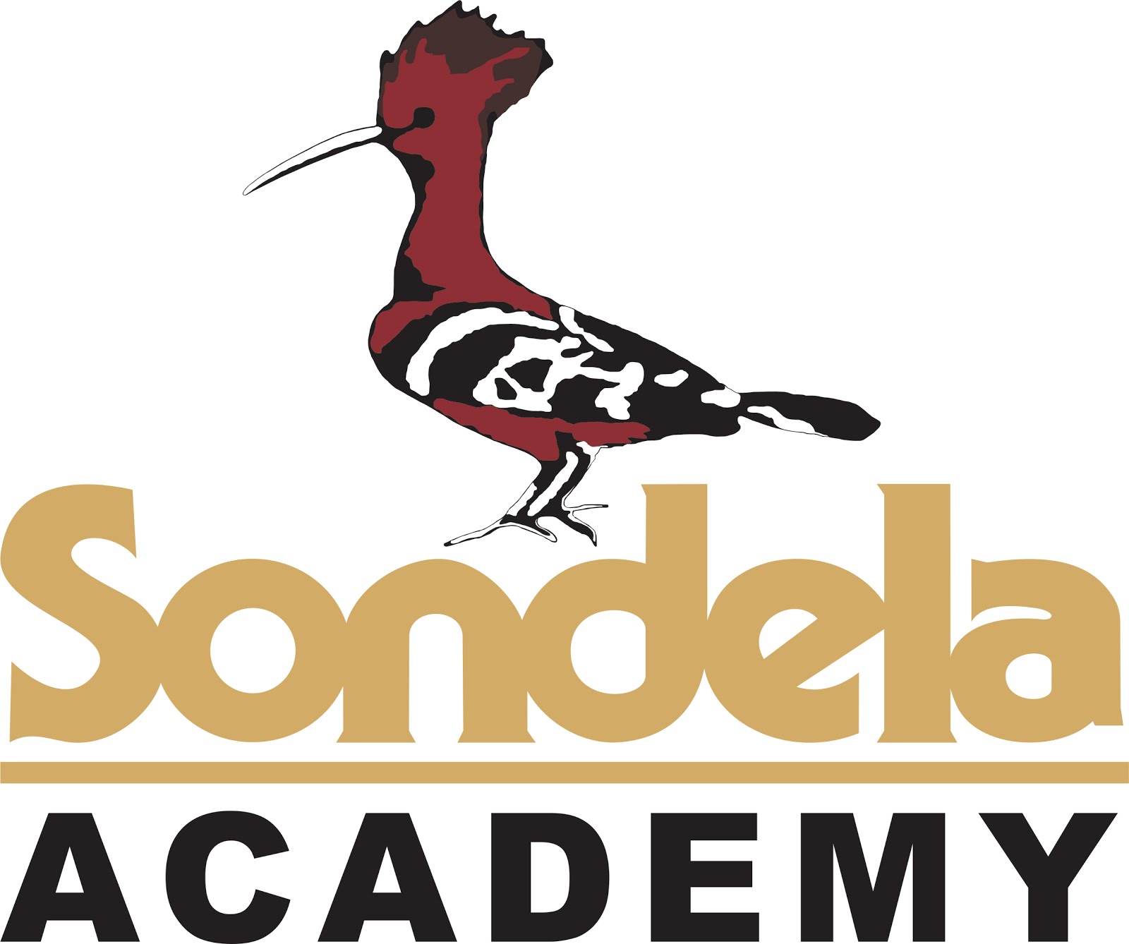 Sondela Academy