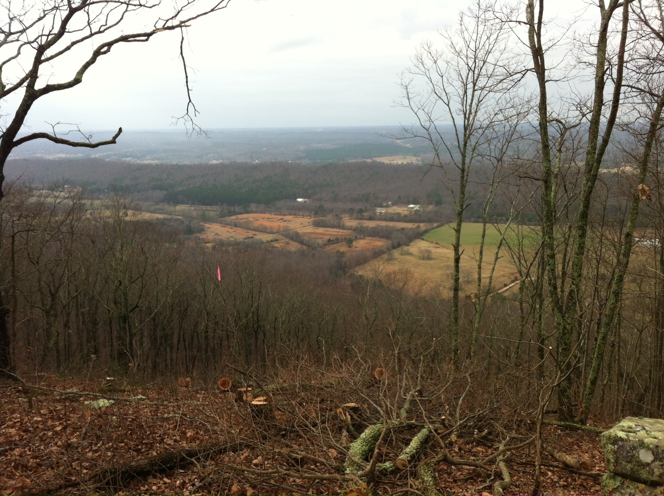 Cma Cgm Are You An Apl Customer Welcome To Your New Journey