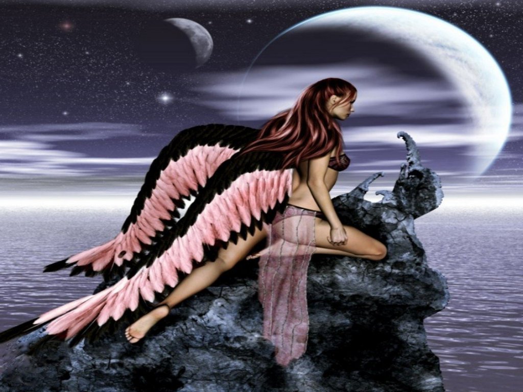 http://2.bp.blogspot.com/-oqwHW4UcFLA/TW_rkNycmbI/AAAAAAAAAP0/7VLkNlMaGR0/s1600/PINK_%2526_BLACK_ANGEL_WINGS_Wallpaper__yvt2.jpg