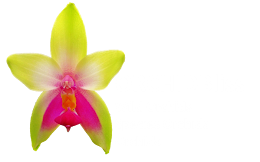 ORCHIDBliss