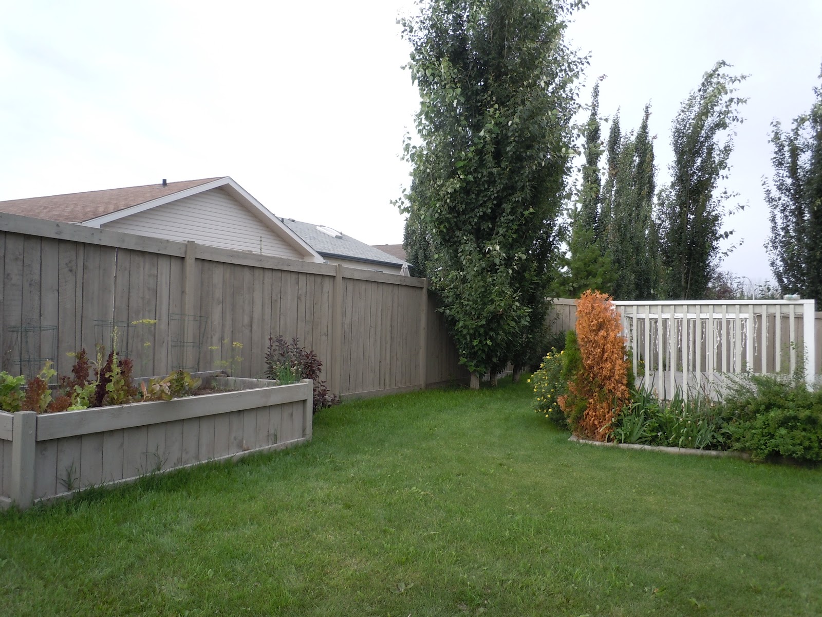 LIVING THE GARDENING LIFE: August 2012