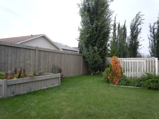 LIVING THE GARDENING LIFE: August 2012