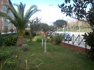 BITJAR-JARDINERS: MANTENIMIENTO JARDINERIA