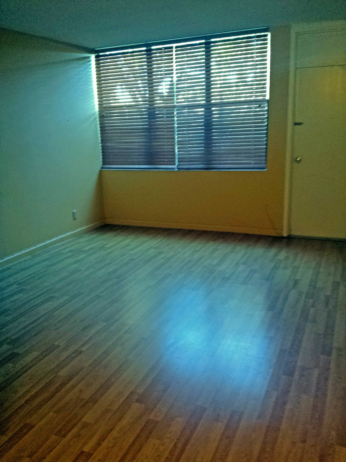 Corina Silva de Fanti Real Estate Condo en Country Club at