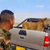 اسد يقع في قبضة جنود عراقيين وسط الصحراء