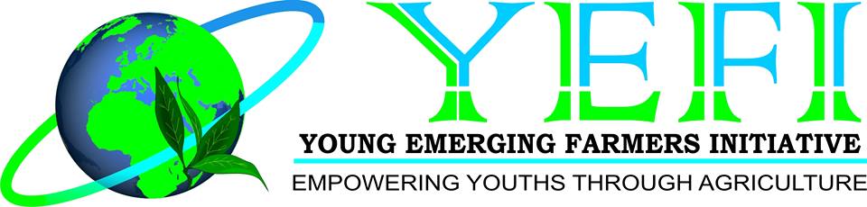 young emerging farmers initiative