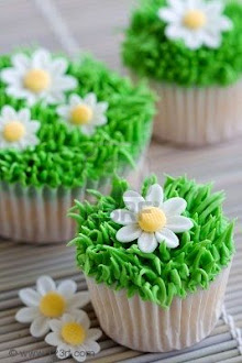 Daisy Cupcakes