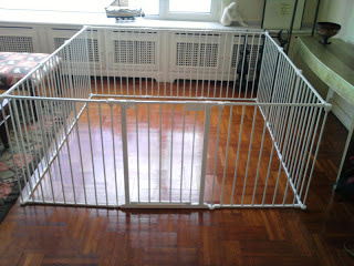 tavsan ansiklopedisi