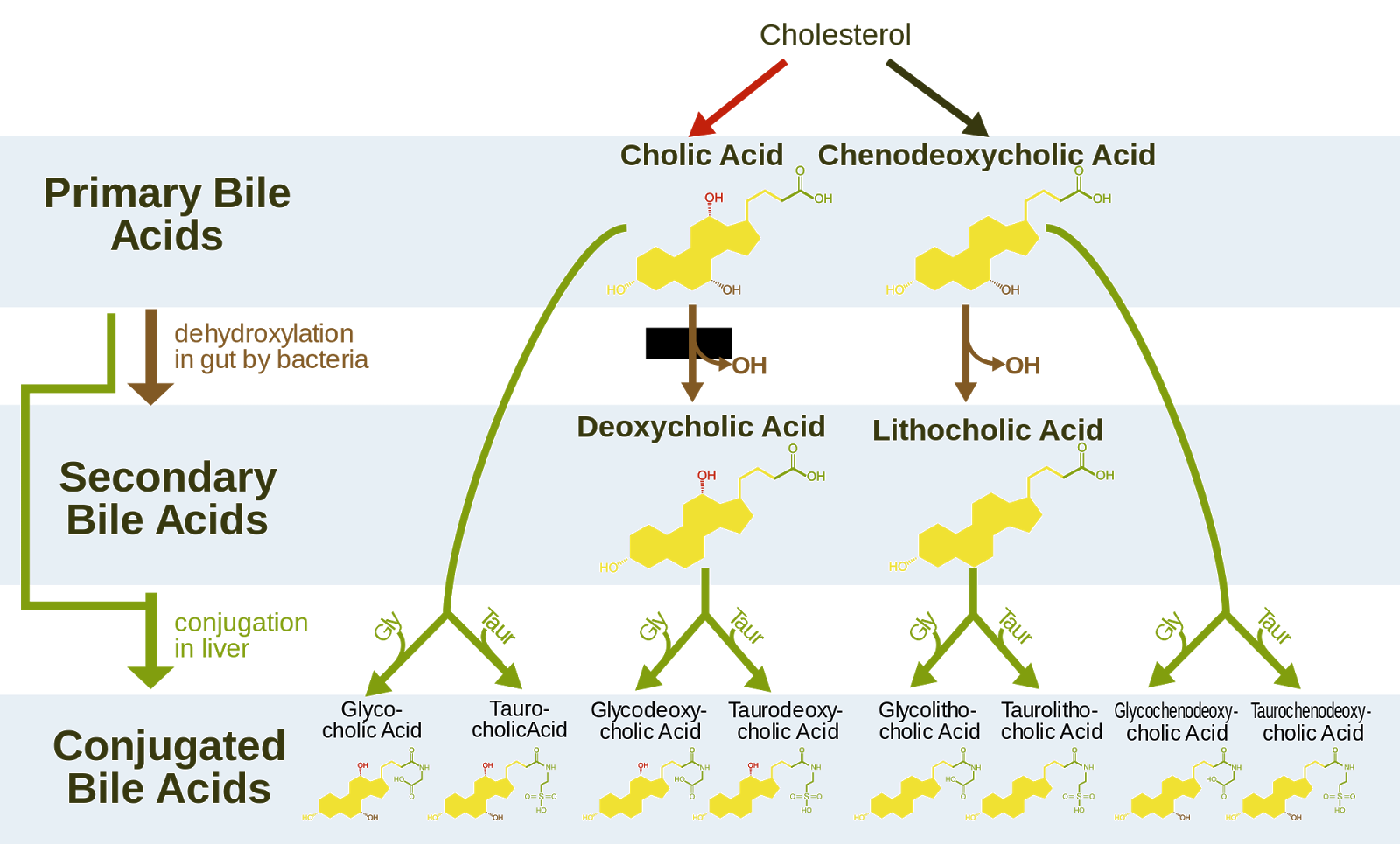 Science varia Emulsifiers