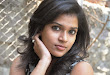 Model Bhargavi Photos at Pochampally Ikat art mela launch