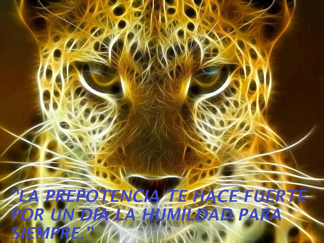 LA PREPOTENCIA TE HACE FUERTE POR UN DIA LA HUMILDAD PARA SIEMPRE