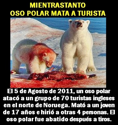 mientrastanto oso polar turistas