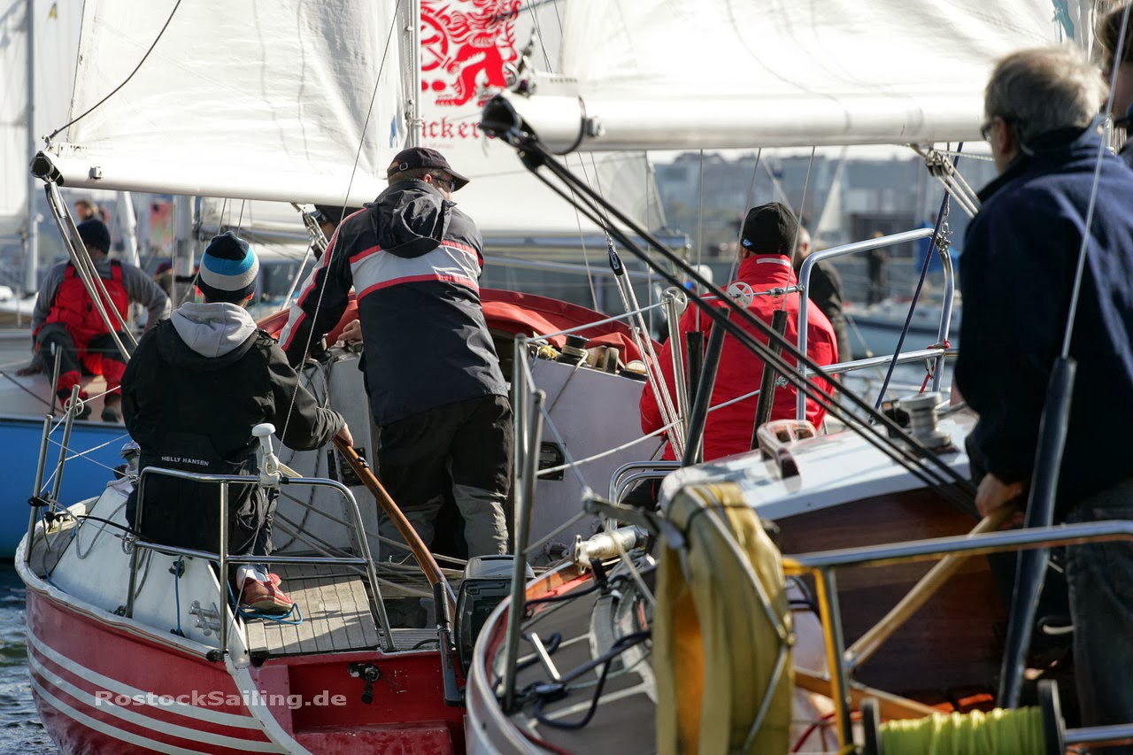 Fussball Fur Hunde Die Hundephilosophin Hundeschule