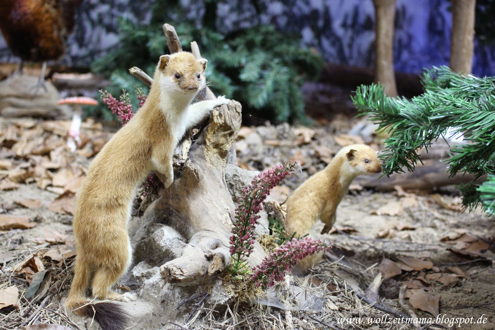 Wollzeitmama August 2014