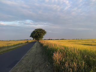 Von Stephanie Meine Neue Freundin