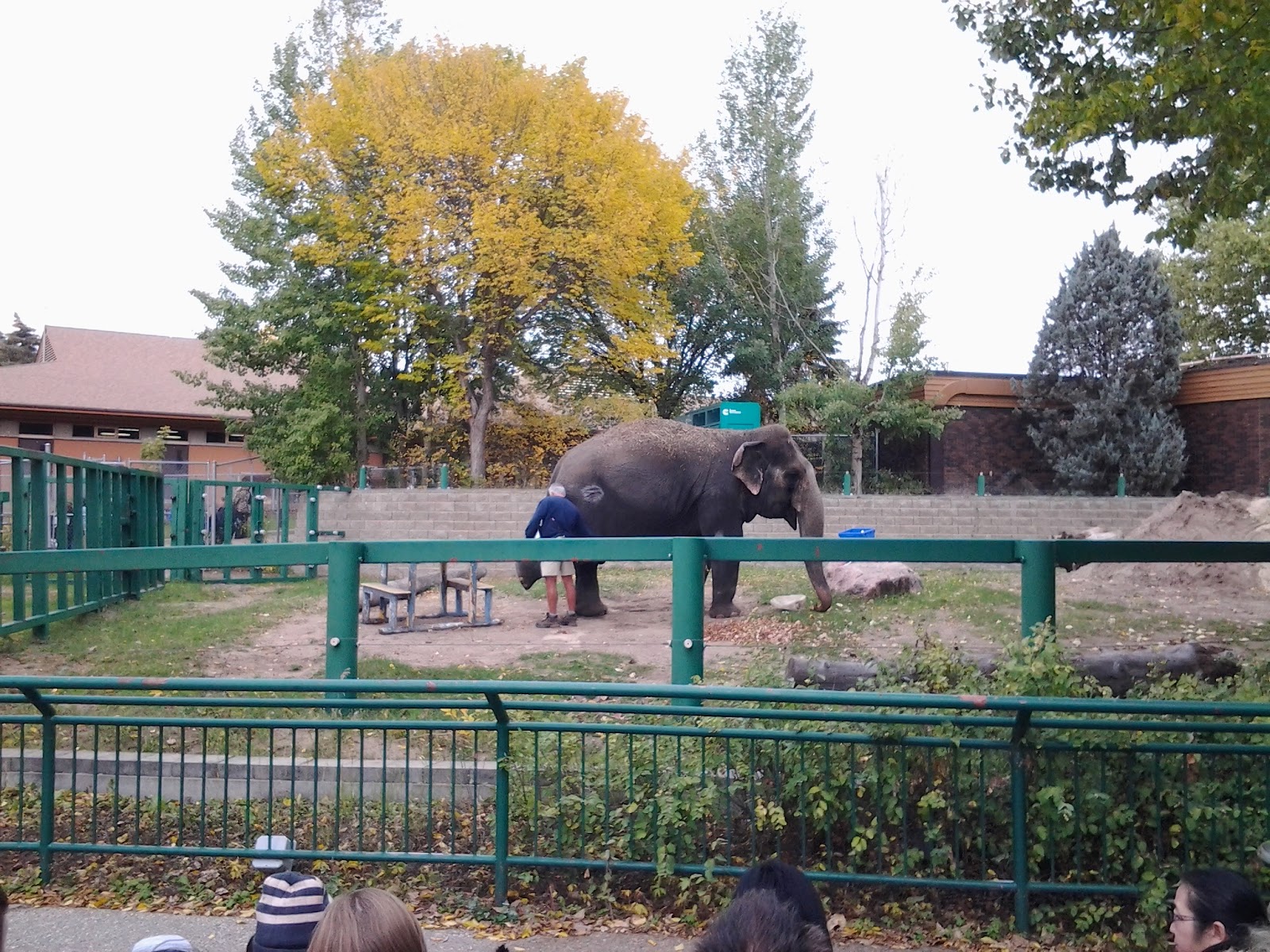 Winding Spiral Case Edmonton Valley Zoo