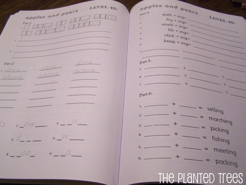 The Planted Trees Final Analysis Friday Apples and Pears Spelling
