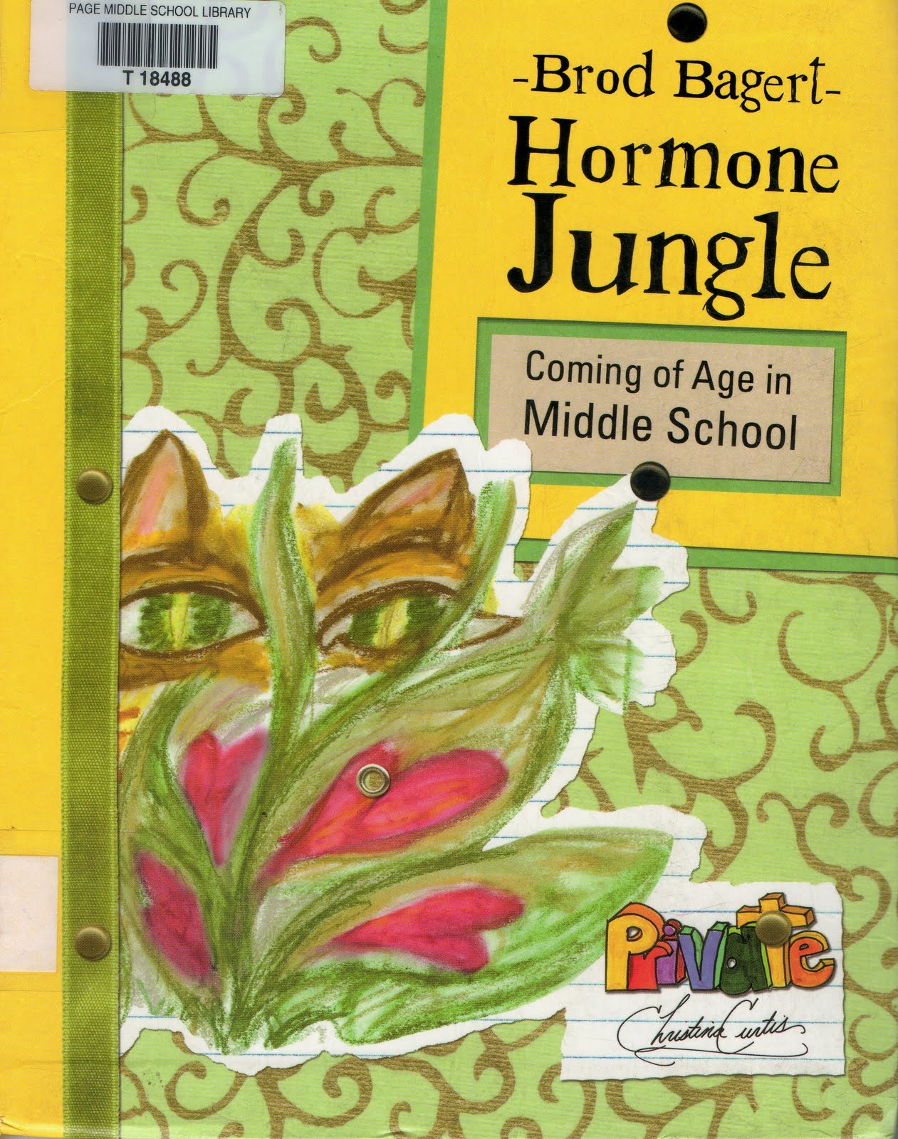 jungle essay prompts jungle essay prompts