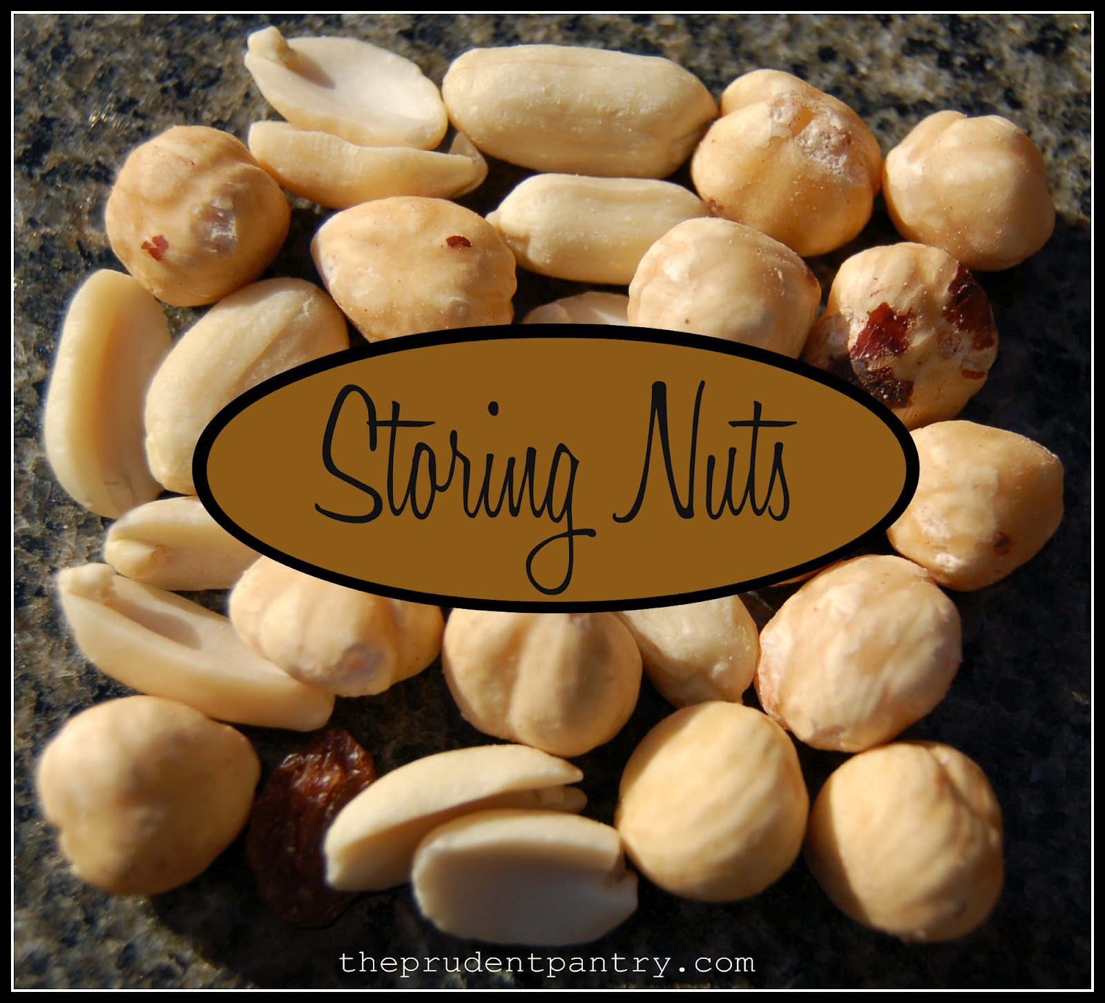 The Prudent Pantry Storing Nuts
