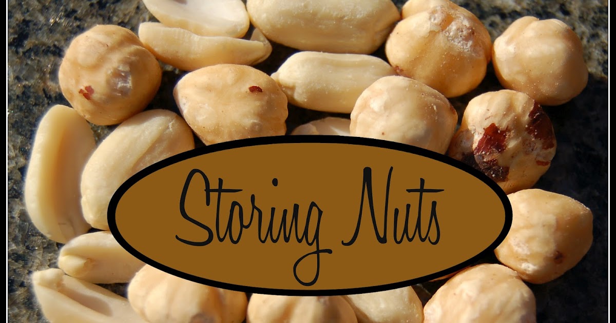The Prudent Pantry Storing Nuts